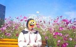 小草青青视频免费观看